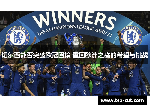 切尔西能否突破欧冠困境 重回欧洲之巅的希望与挑战