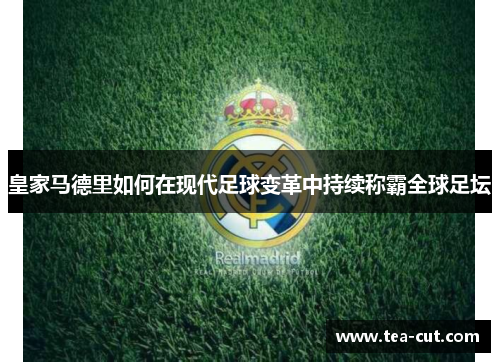 皇家马德里如何在现代足球变革中持续称霸全球足坛