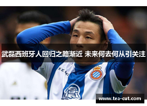 武磊西班牙人回归之路渐近 未来何去何从引关注