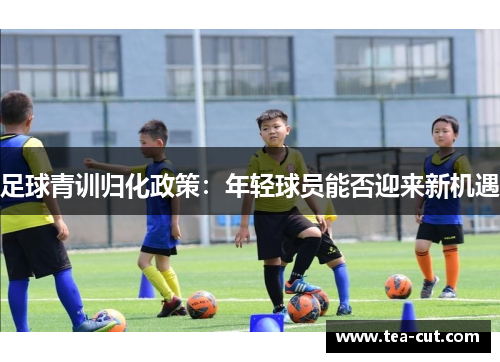 足球青训归化政策：年轻球员能否迎来新机遇