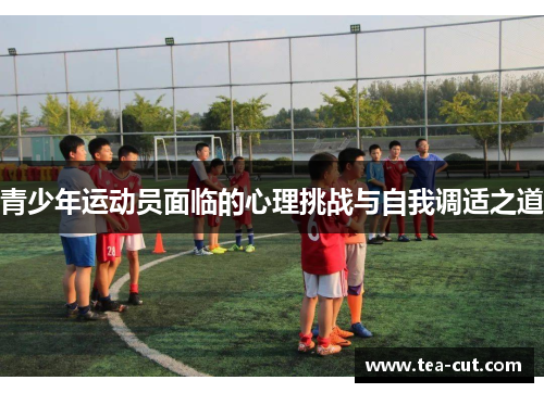 青少年运动员面临的心理挑战与自我调适之道