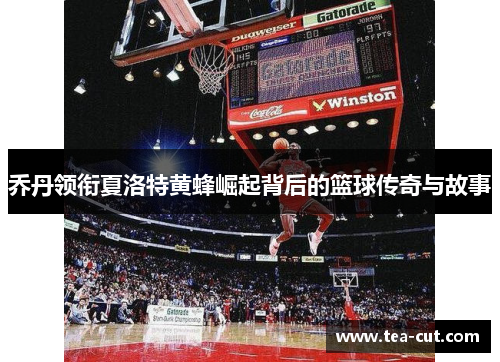 乔丹领衔夏洛特黄蜂崛起背后的篮球传奇与故事