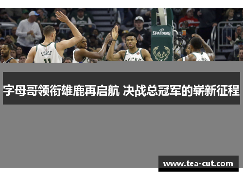 字母哥领衔雄鹿再启航 决战总冠军的崭新征程