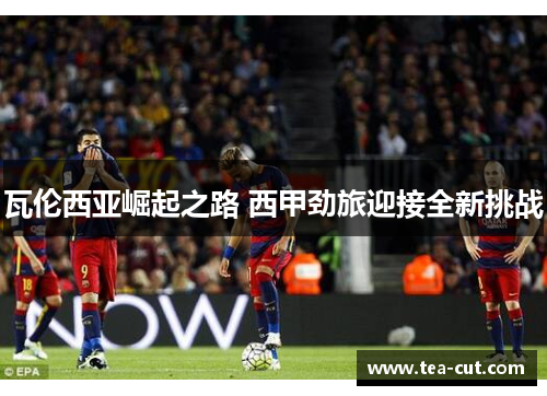 瓦伦西亚崛起之路 西甲劲旅迎接全新挑战