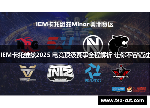 IEM卡托维兹2025 电竞顶级赛事全程解析 让你不容错过