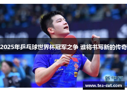 2025年乒乓球世界杯冠军之争 谁将书写新的传奇