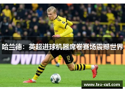 哈兰德：英超进球机器席卷赛场震撼世界