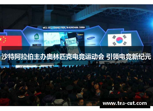沙特阿拉伯主办奥林匹克电竞运动会 引领电竞新纪元