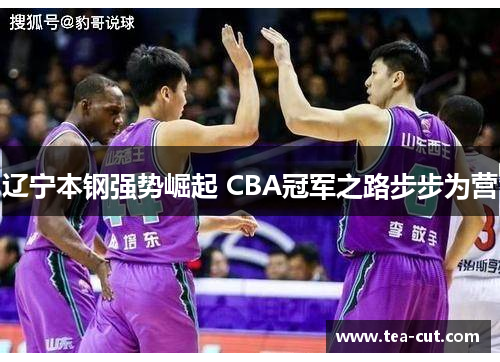 辽宁本钢强势崛起 CBA冠军之路步步为营