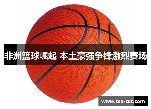 非洲篮球崛起 本土豪强争锋激烈赛场