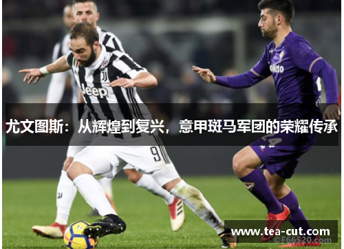 尤文图斯：从辉煌到复兴，意甲斑马军团的荣耀传承