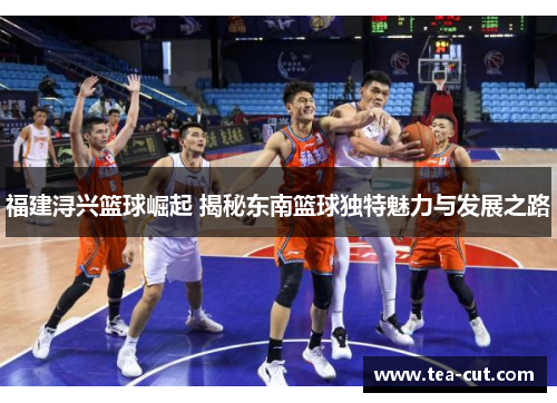 福建浔兴篮球崛起 揭秘东南篮球独特魅力与发展之路