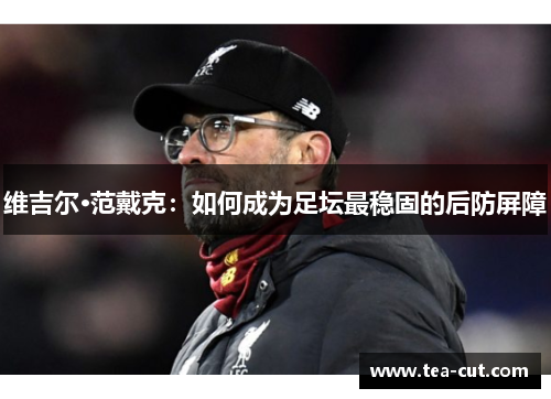 维吉尔·范戴克：如何成为足坛最稳固的后防屏障