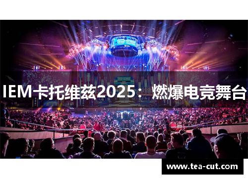 IEM卡托维兹2025：燃爆电竞舞台