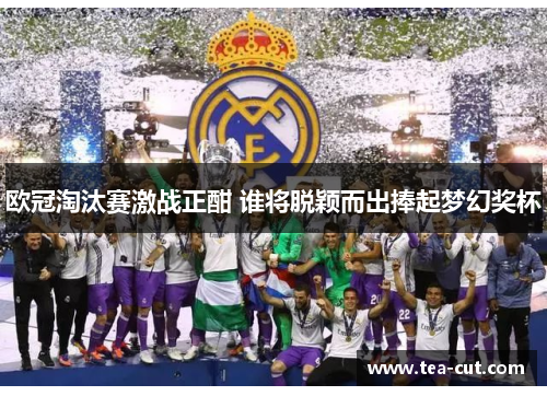 欧冠淘汰赛激战正酣 谁将脱颖而出捧起梦幻奖杯