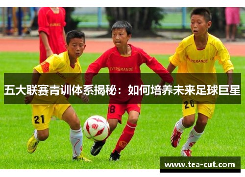 五大联赛青训体系揭秘：如何培养未来足球巨星