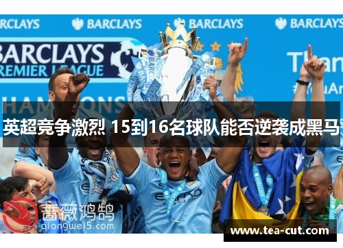 英超竞争激烈 15到16名球队能否逆袭成黑马
