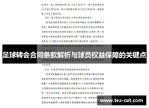 足球转会合同条款解析与球员权益保障的关键点