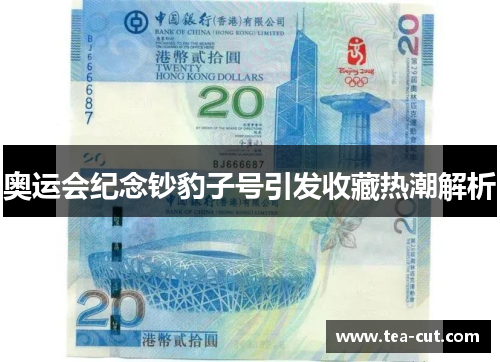 奥运会纪念钞豹子号引发收藏热潮解析